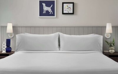 King bed at Sonesta ES Suites Austin The Domain Area.