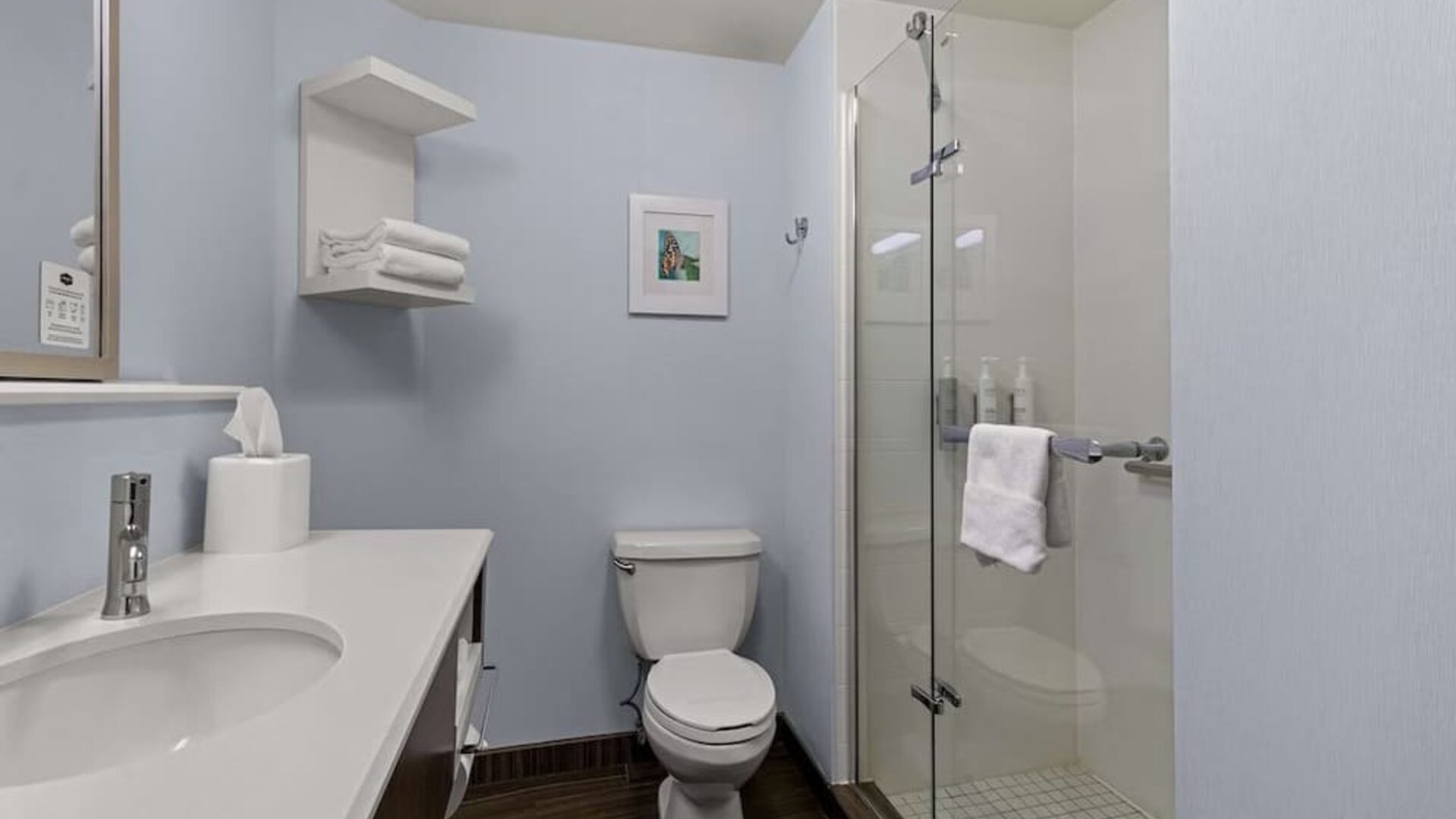 Guest bathroom with shower at Hampton Inn Bloomington.