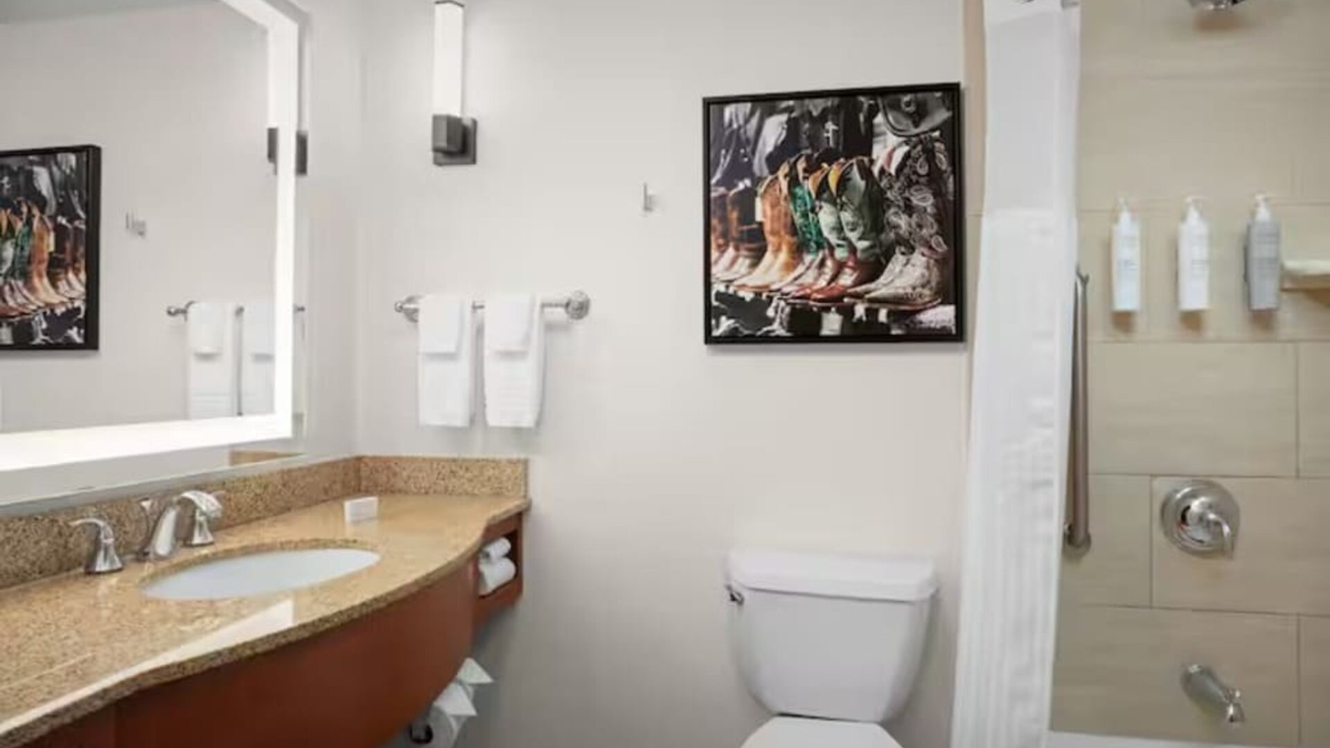 Guest bathroom with shower and tub at Hilton Garden Inn Fort Worth Medical Center.