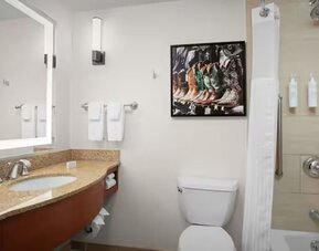 Guest bathroom with shower and tub at Hilton Garden Inn Fort Worth Medical Center.