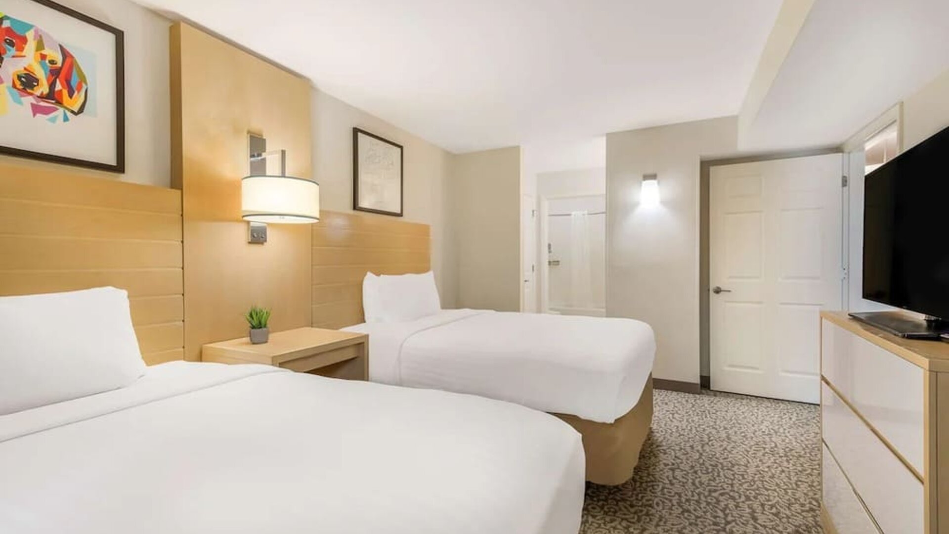 Day use twin room with private bathroom at Sonesta ES Suites Charlotte Arrowood.