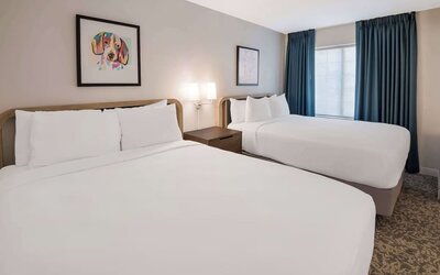 Day use twin room at Sonesta ES Suites Andover Boston.