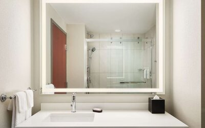 Guest bathroom with shower at Embassy Suites By Hilton Hampton Convention Center.