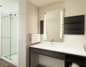 Guest bathroom with shower at Hilton Garden Inn Memphis Downtown.