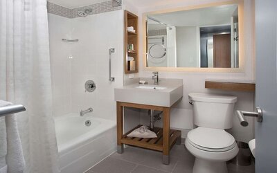 Guest bathroom with shower and tub at New York Hilton Midtown.