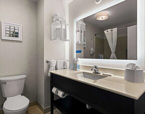 Guest bathroom with shower at Hampton Inn & Suites Schererville.
