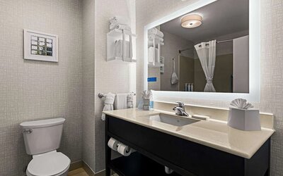 Guest bathroom with shower at Hampton Inn & Suites Schererville.