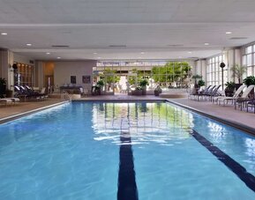 Refreshing indoor pool at Hilton Chicago.