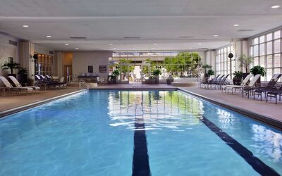 Refreshing indoor pool at Hilton Chicago.