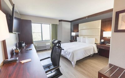 Bright-lit day use room with work desk at The Leo Collection, An Ascend Collection Hotel.