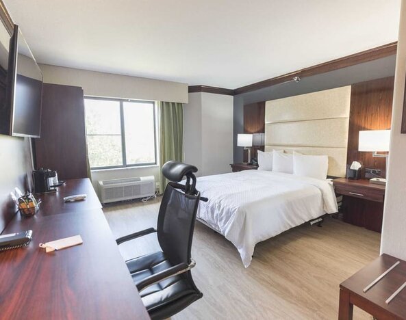 Bright-lit day use room with work desk at The Leo Collection, An Ascend Collection Hotel.