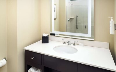 Guest bathroom with shower at Embassy Suites By Hilton St. Louis Downtown.