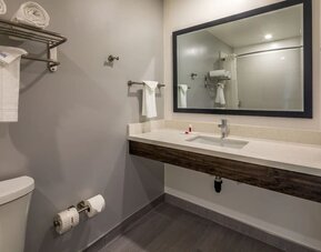 Private guest bathroom with shower and free toiletries at Travelodge LAX By Wyndham.