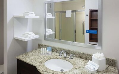 Private guest bathroom with shower and free toiletries at Hampton Inn Los Angeles-Orange County-Cypress.