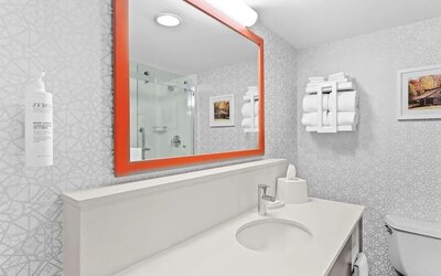 Private guest bathroom with free toiletries at Hampton Inn Chicago/Naperville.