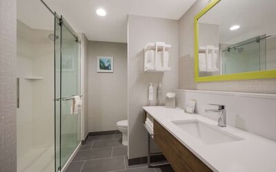 Guest bathroom with shower at Hampton Inn Detroit Southfield.

