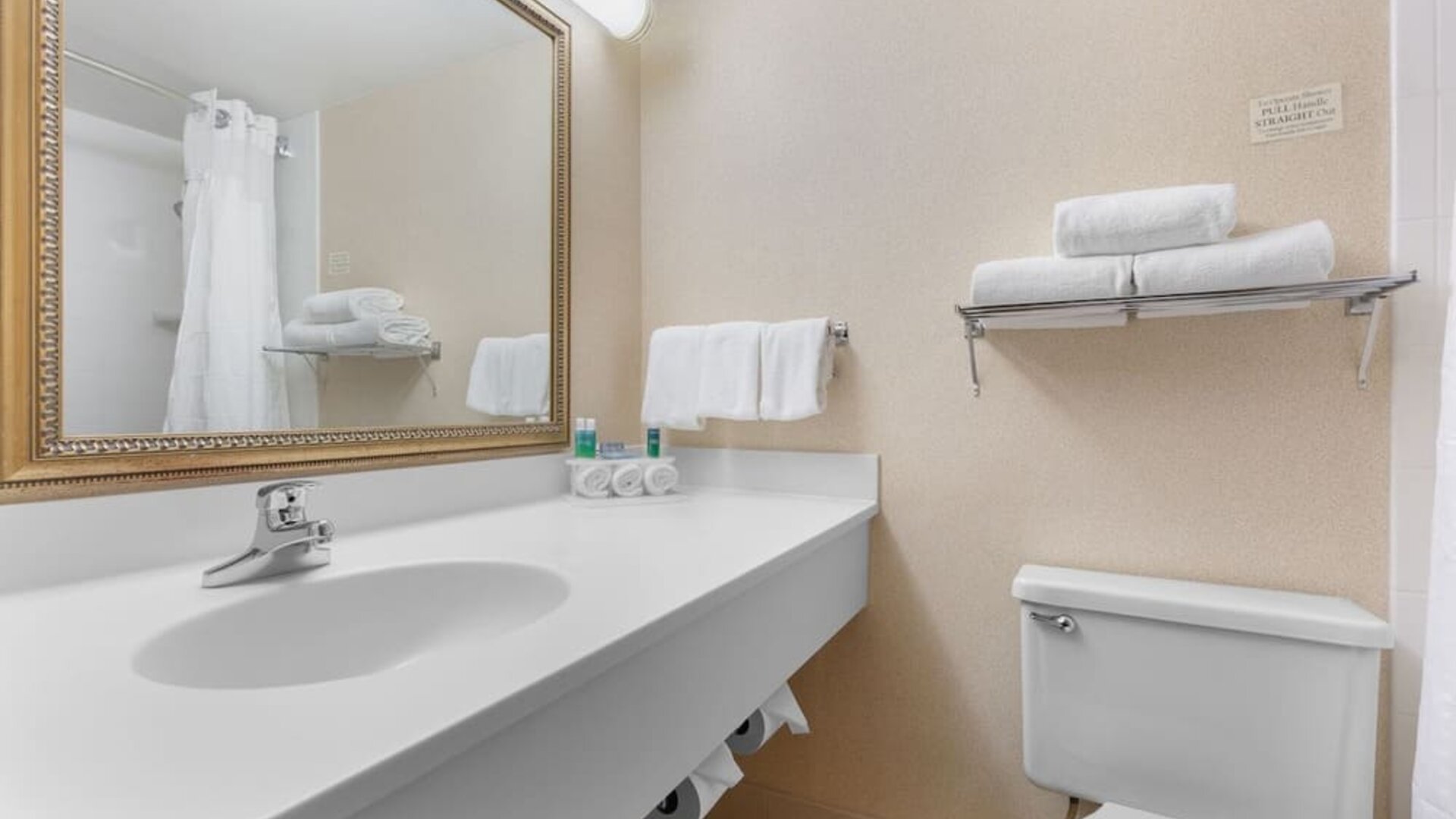 Guest bathroom with shower and free toiletries at Holiday Inn Express Chicago - Downers Grove.