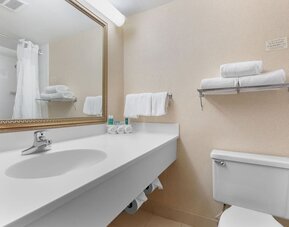 Guest bathroom with shower and free toiletries at Holiday Inn Express Chicago - Downers Grove.