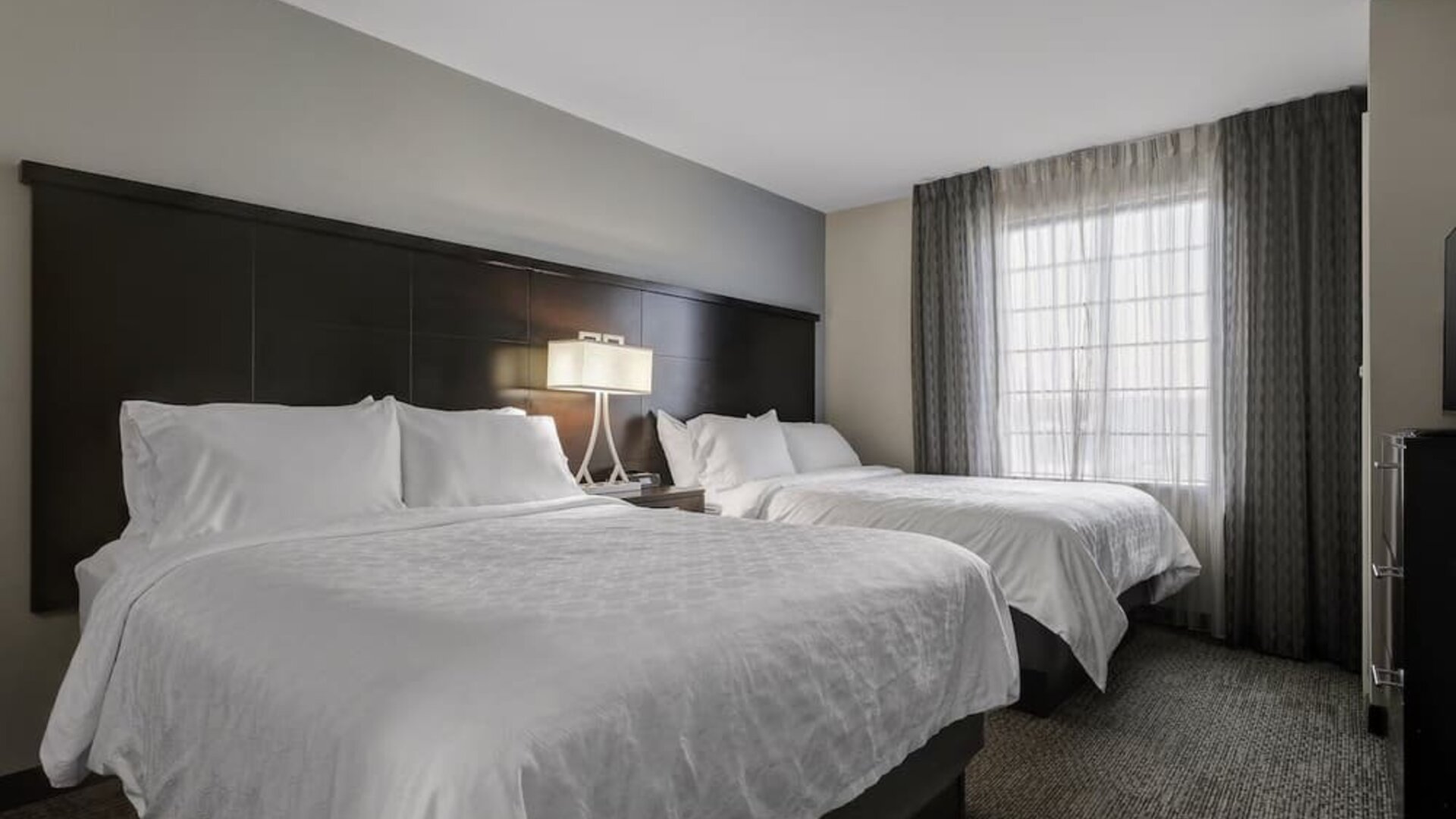 Day use twin room at Staybridge Suites Washington D.C.- Greenbelt.