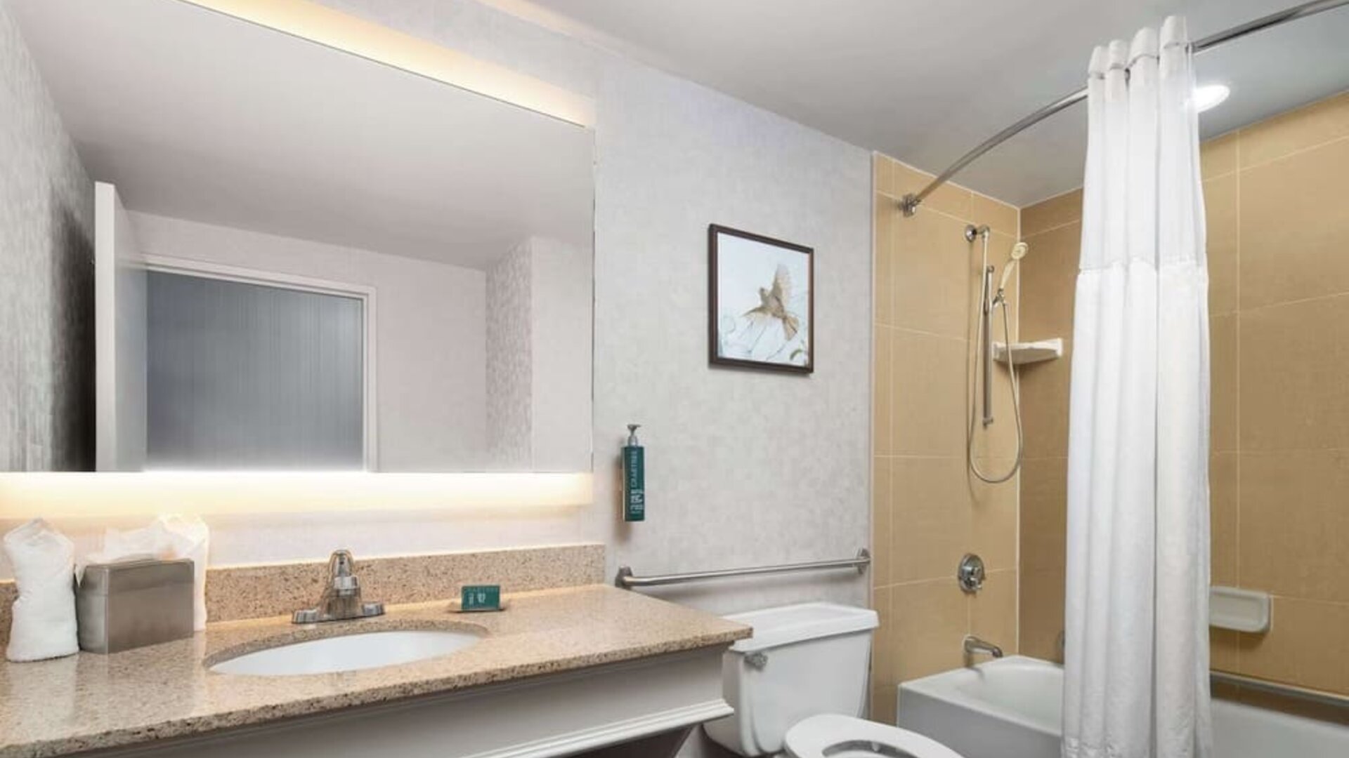 Private guest bathroom with combined shower and tub at DoubleTree By Hilton Hartford - Bradley Airport.