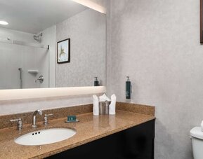 Private guest bathroom with shower and free toiletries at DoubleTree By Hilton Hartford - Bradley Airport.