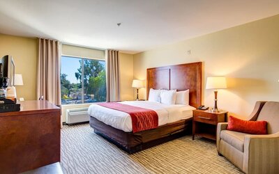 Dayroom with TV and natural light at Comfort Inn Pomona Near Fairplex.