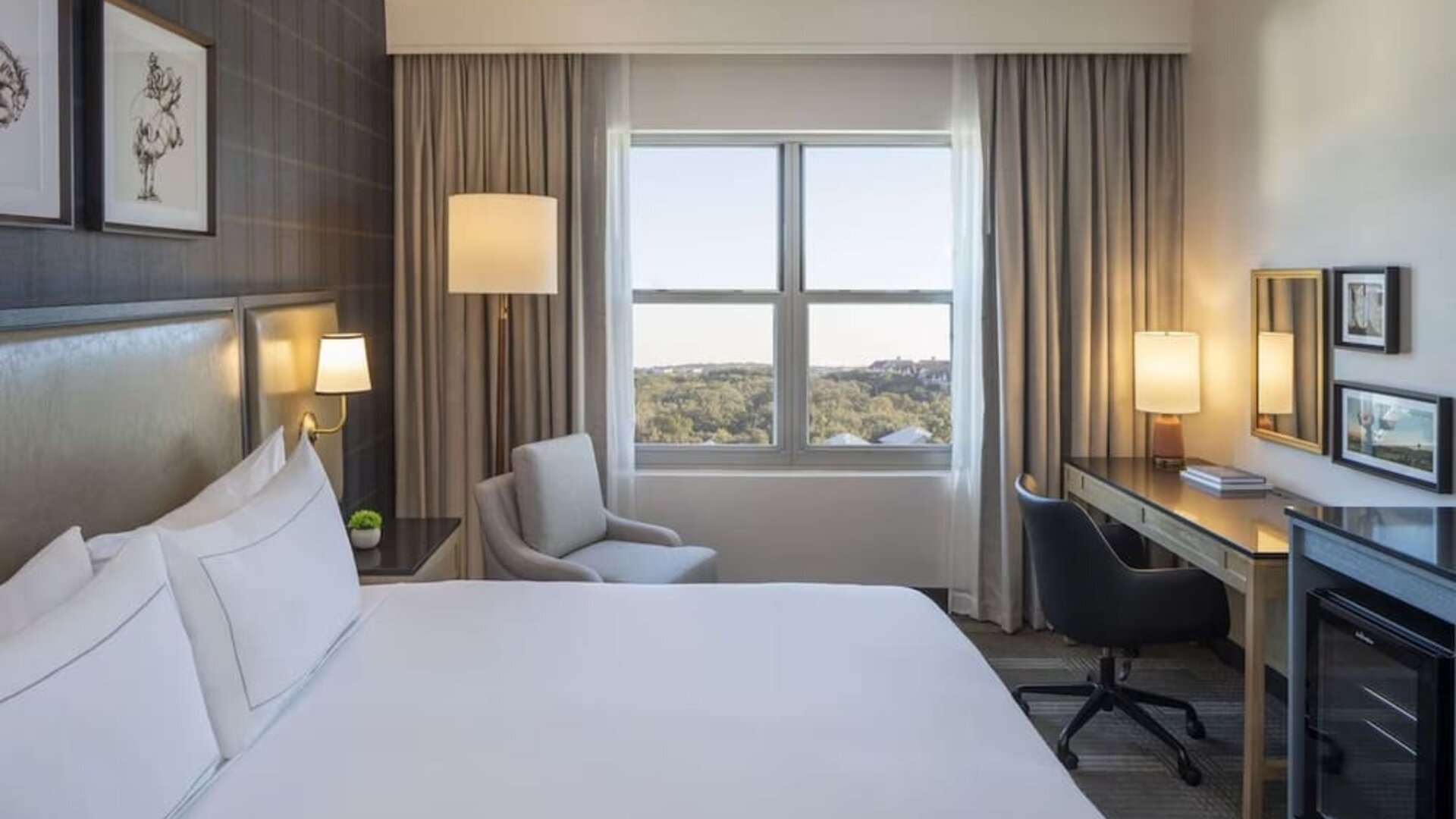 Day use room with work desk and natural light at Hilton San Antonio Hill Country.