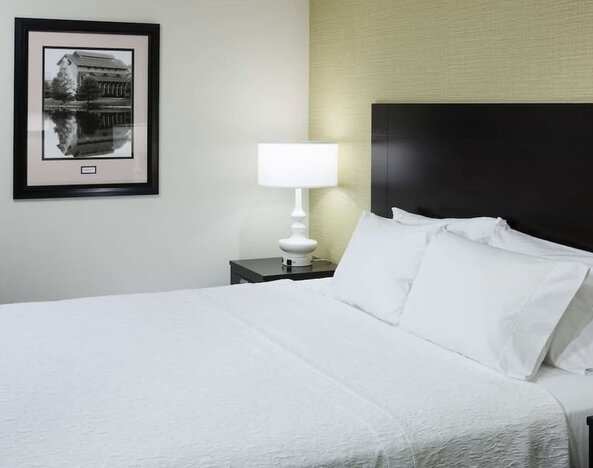 King bed at Hampton Inn & Suites Gainesville-Downtown.