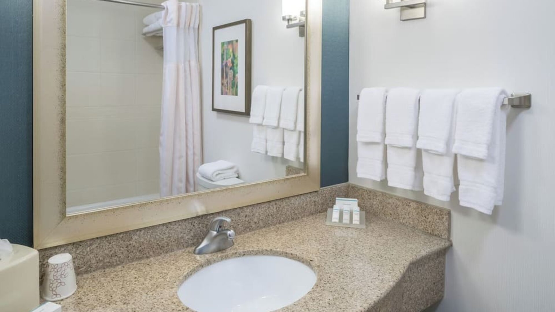 Private guest bathroom at Hilton Garden Inn Dothan.