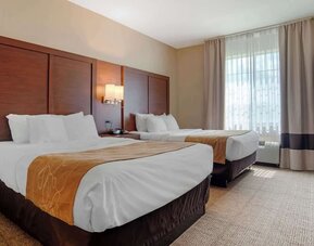 Day use twin room at Comfort Suites Alexandria, LA.