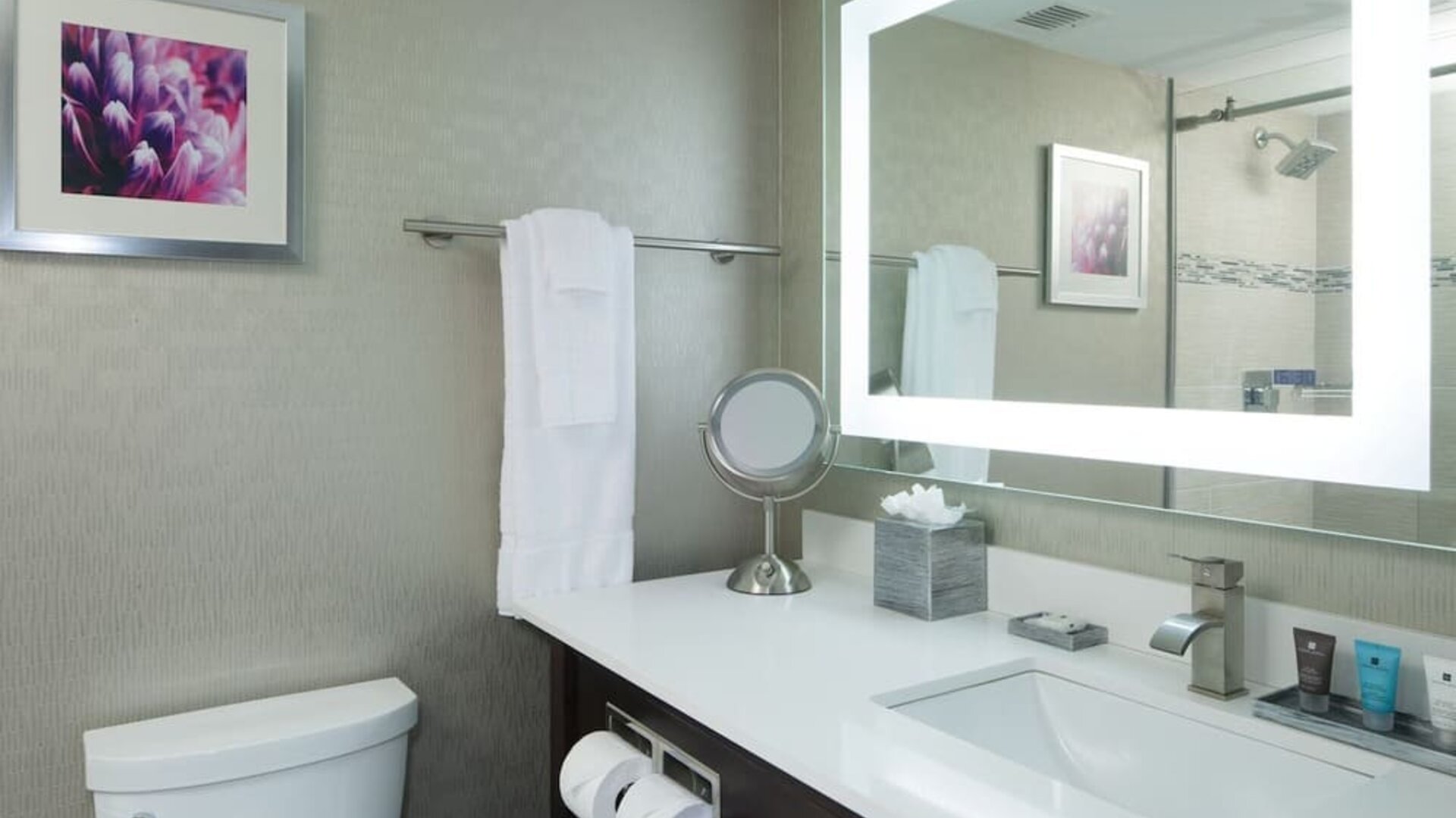 Guest bathroom at Crowne Plaza Chicago SW.