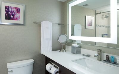 Guest bathroom at Crowne Plaza Chicago SW.