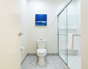 Private guest bathroom with shower and free toiletries at Palace Inn Blue IAH East.