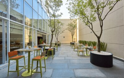 City Express Plus by Marriott Reforma El Ángel