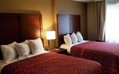 Day use twin room at Days Inn By Wyndham Brooklyn Marine Park.