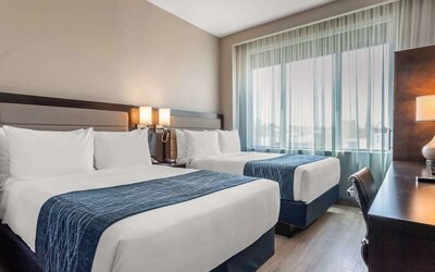 Day use twin room with large windows, work desk and private bathroom at Comfort Inn Prospect Park-Brooklyn.