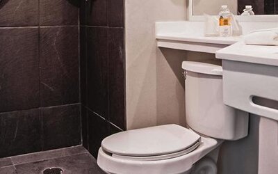 City Express Plus by Marrriott Guadalajara Palomar