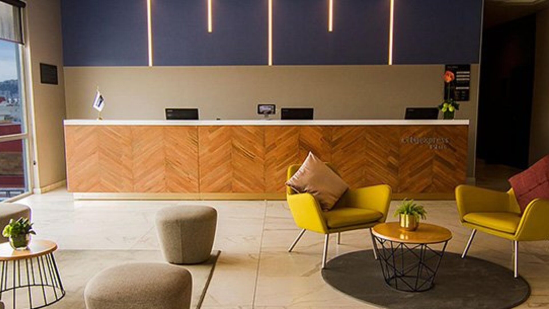 City Express Plus By Marriott Mundo E