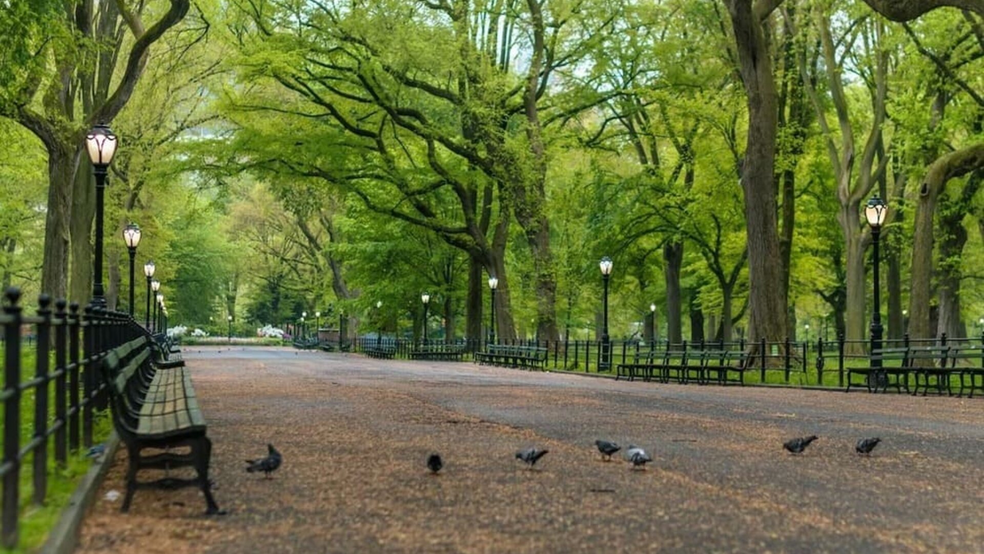 City landmarks at Nap York Central Park.