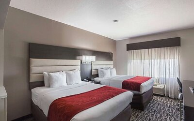 Day use room at Comfort Suites Lewisville.