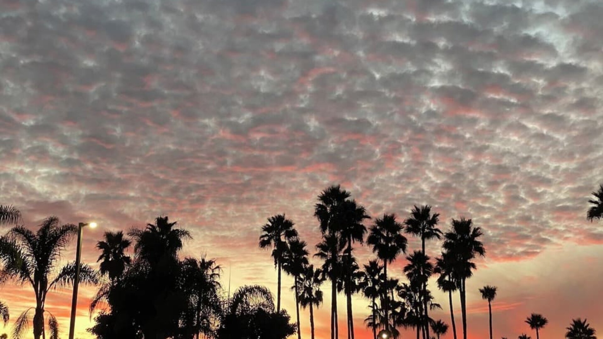 Beach nearby at Holiday Inn Express Hotel & Suites Carlsbad Beach.