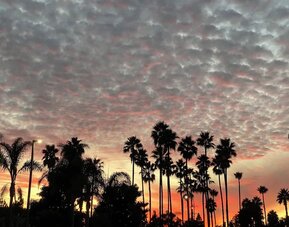 Beach nearby at Holiday Inn Express Hotel & Suites Carlsbad Beach.