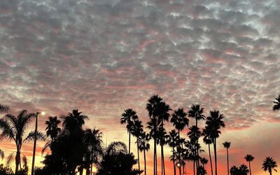 Beach nearby at Holiday Inn Express Hotel & Suites Carlsbad Beach.