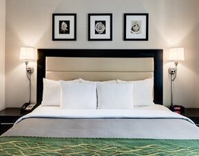 Comfort Inn Times Square South
