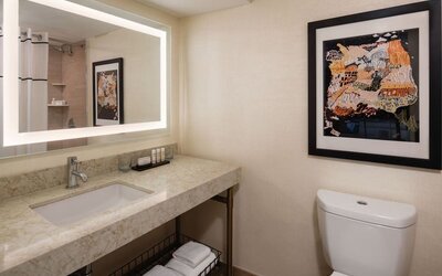 Guest bathroom with shower at Embassy Suites by Hilton San Francisco Airport.