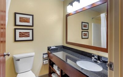 Guest bathroom at Comfort Inn & Suites North Aurora - Naperville.