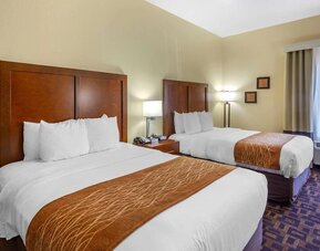 Day use room at Comfort Inn & Suites North Aurora - Naperville.