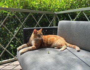 Outdoor terrace at Beverly Hills Spanish.