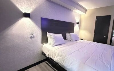 King room at THE VINE HOTEL BRONX.