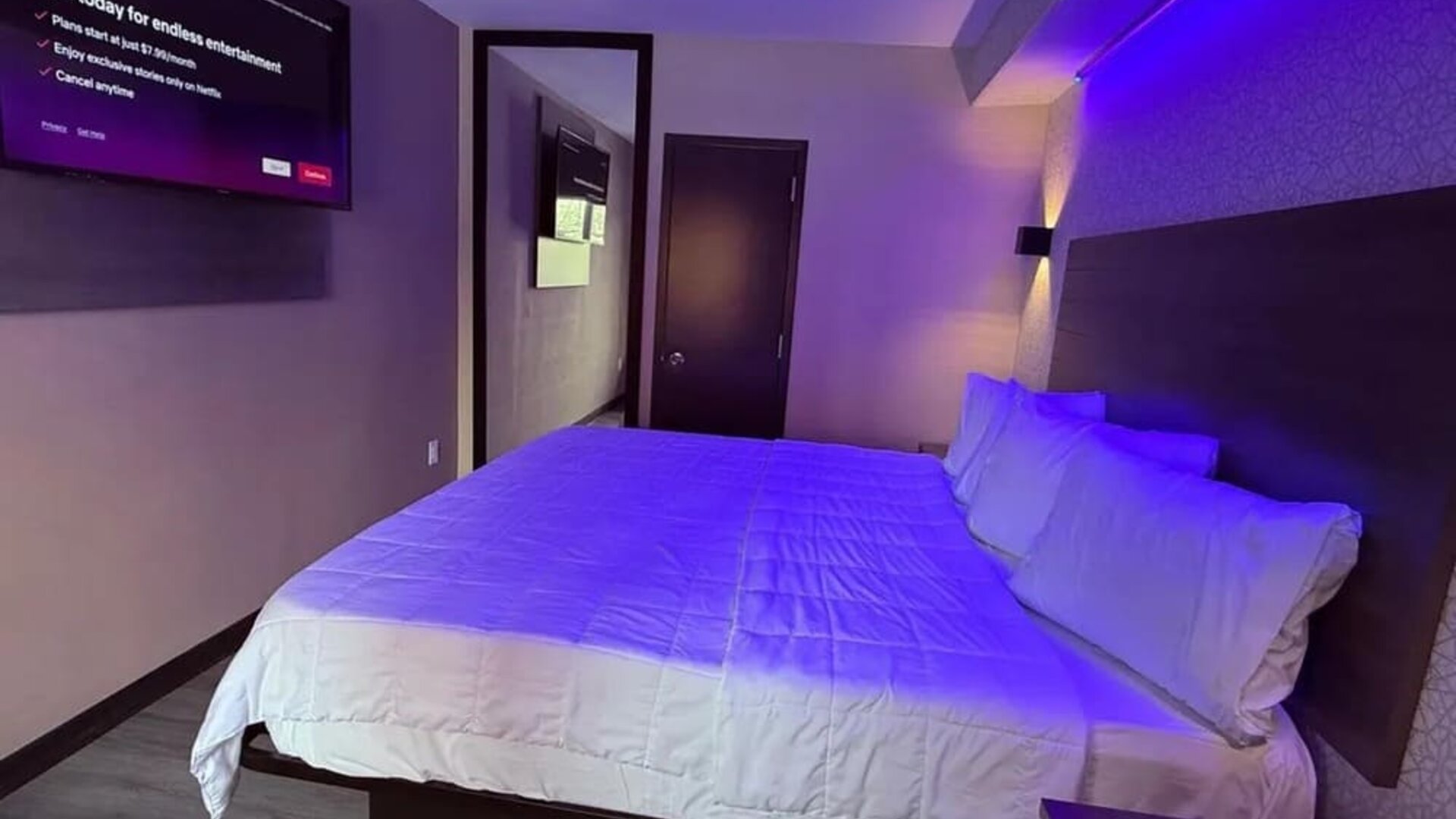 King room at THE VINE HOTEL BRONX.